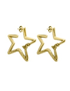 Pendientes Flella oro