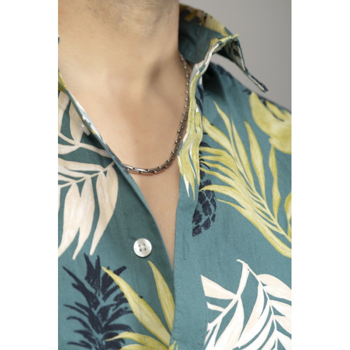 Collier Snake Collier Snake