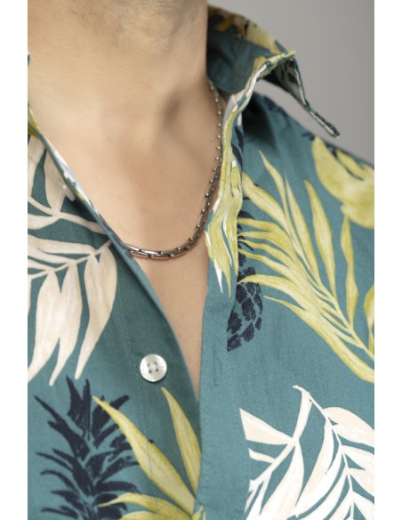 Collier Snake