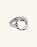 Anillo Día y Noche