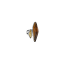 Anillo Orlik