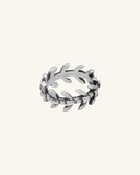 Anillo Raspa