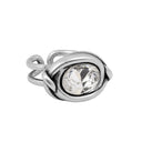 Anillo Conexión