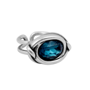 Anillo Conexión